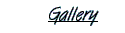 Gallery logo